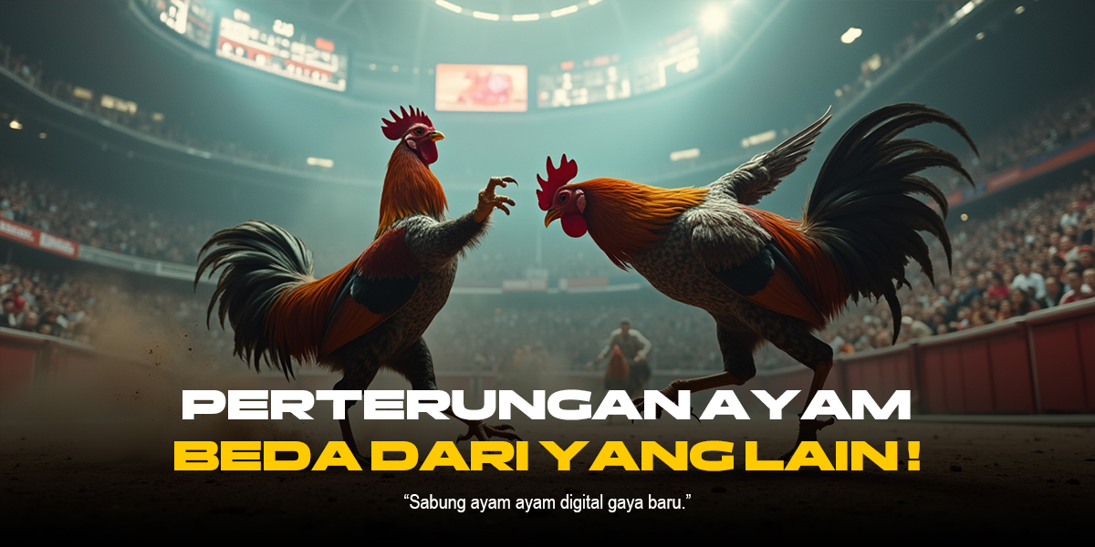 Mengenal Jenis Ayam Aduan dan Odds Terbaik di SV388
