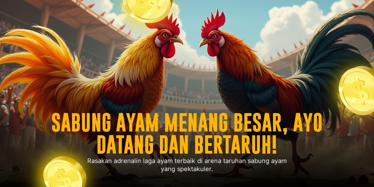 Jenis Ayam Aduan Unggulan di SV388 Sabung Ayam Online
