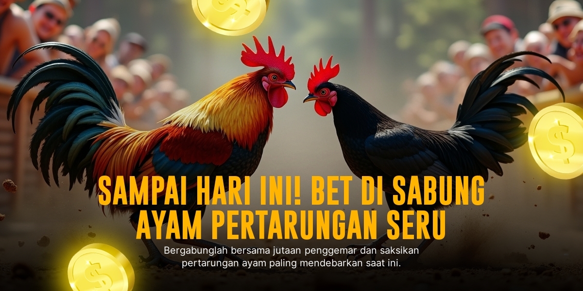 Odds Sabung Ayam SV388: Pintar Memilih Petarung Andal